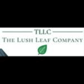 thca-hash-rosin-bulk-big-0