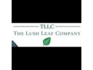 thca-hash-rosin-bulk-small-0