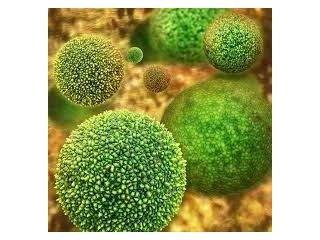 allergic-inflammation-small-0
