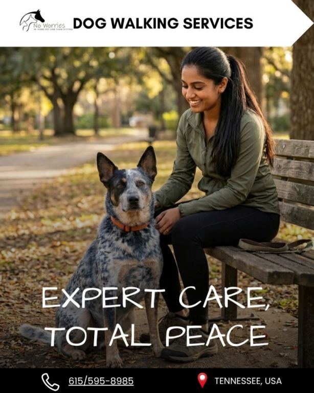reliable-dog-walking-bellevue-daily-pet-exercise-big-0