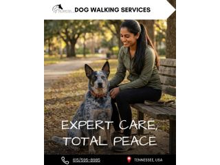 reliable-dog-walking-bellevue-daily-pet-exercise-small-0