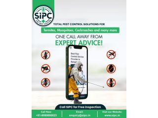 termite-control-solutions-in-kochi-small-0