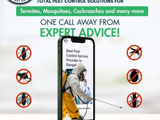 termite-control-solutions-in-kochi