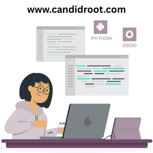 hire-odoo-erp-consultant-big-0