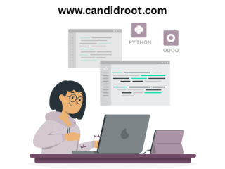 hire-odoo-erp-consultant-small-0