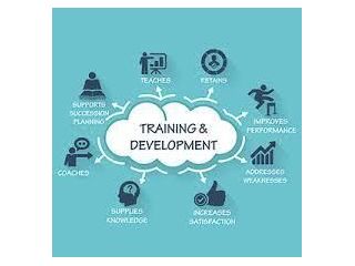 employee-learning-and-development-programs-small-0