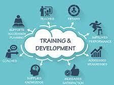 employee-learning-and-development-programs