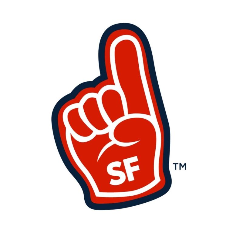 service-fanatics-professional-home-services-experts-big-0