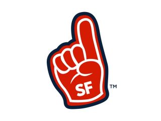 service-fanatics-professional-home-services-experts-small-0
