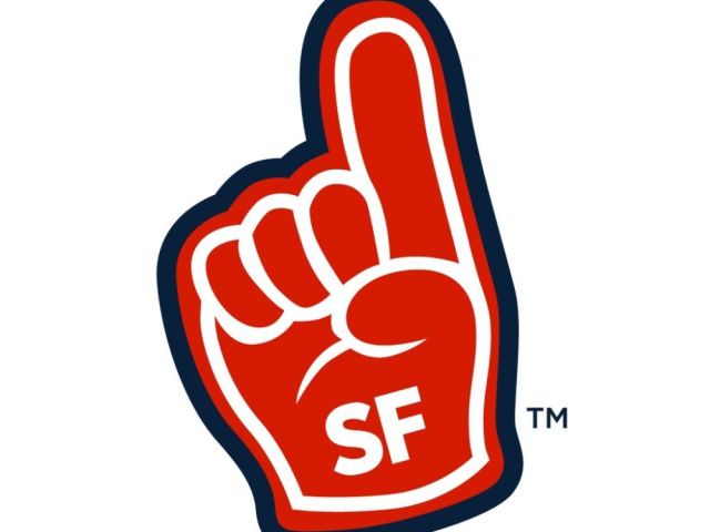 service-fanatics-professional-home-services-experts