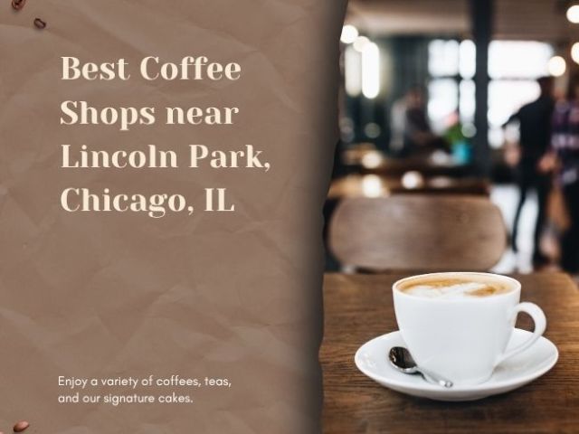top-coffee-shops-near-by-lincoln-park