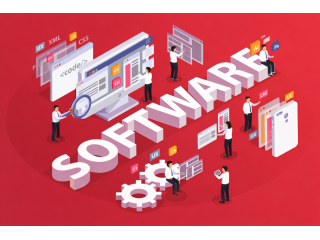 looking-for-reliable-custom-software-development-solutions-small-0