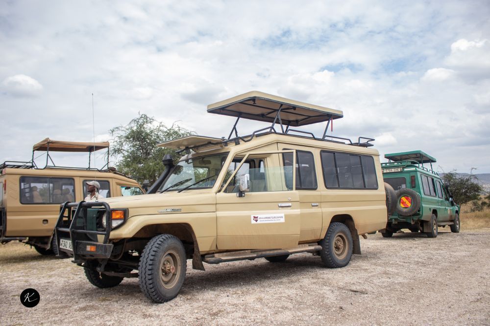 kenya-safari-tours-explore-wildlife-nature-adventure-big-0