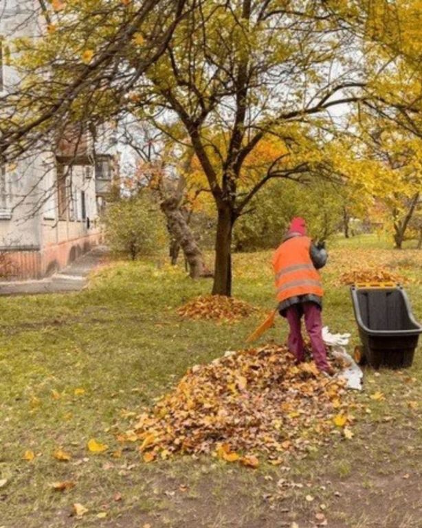 spring-and-fall-clean-up-near-me-big-0