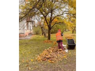 spring-and-fall-clean-up-near-me-small-0