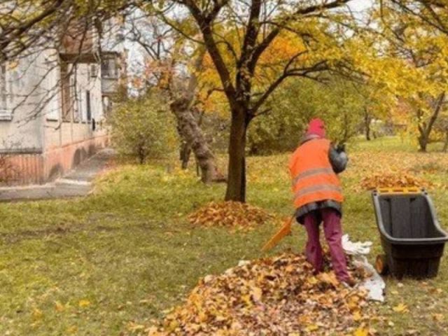 spring-and-fall-clean-up-near-me
