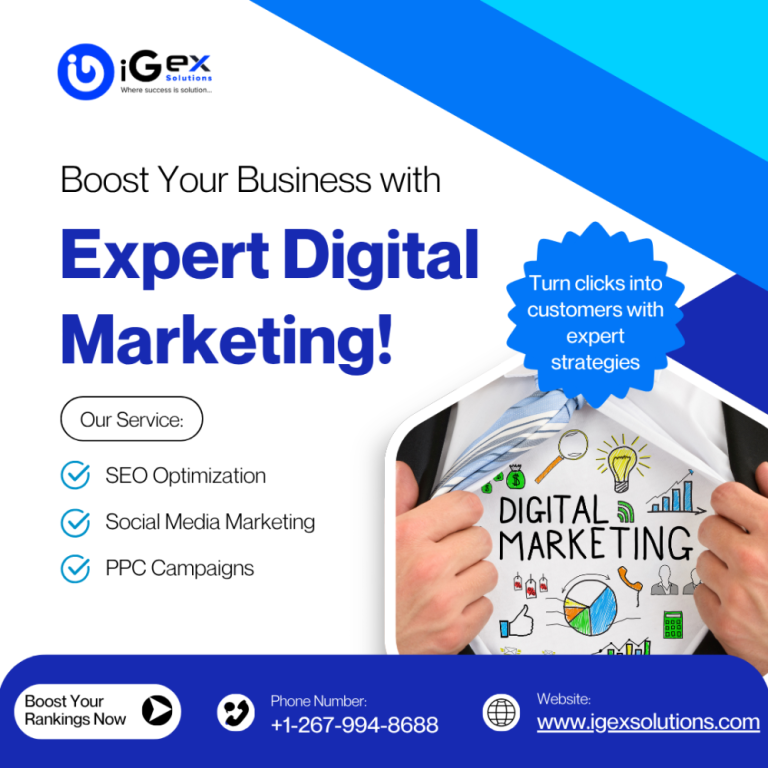 search-optimization-services-in-the-usa-igex-solutions-big-0