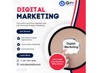 search-optimization-services-in-the-usa-igex-solutions-small-2