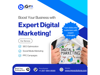 search-optimization-services-in-the-usa-igex-solutions-small-0