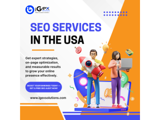 search-optimization-services-in-the-usa-igex-solutions-small-1