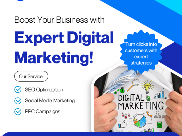 search-optimization-services-in-the-usa-igex-solutions