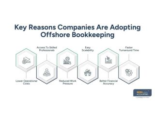 offshore-bookkeeping-a-smart-solution-for-businesses-small-0