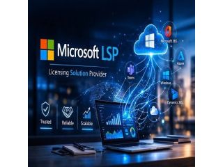 microsoft-lsp-small-0