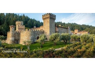 classic-castle-napa-valley-experience-small-0