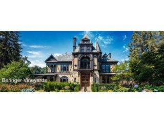 the-heart-of-napa-valley-wine-tasting-small-0