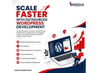 grow-faster-with-expert-wordpress-outsourcing-small-0