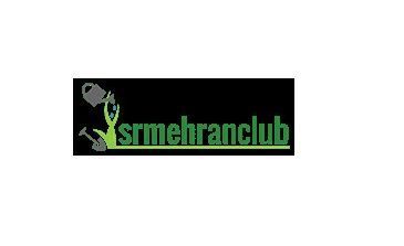 best-gpl-theme-website-for-wordpress-downloads-sr-mehran-big-0