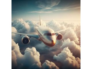 book-domestic-flights-deals-tickets-with-friendztravel-small-0