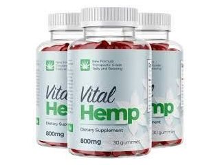 are-vital-hemp-gummies-suitable-for-all-ages-small-0