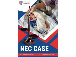 nec-case-in-winter-park-people-for-law-small-0