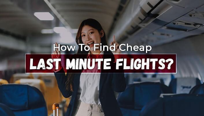 a-detailed-guide-on-how-to-choose-the-best-airline-for-travel-big-0