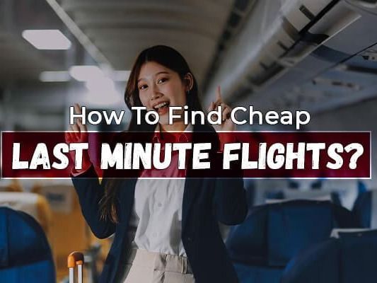 a-detailed-guide-on-how-to-choose-the-best-airline-for-travel