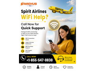 spirit-airlines-wifi-help-call-now-for-quick-support-small-0