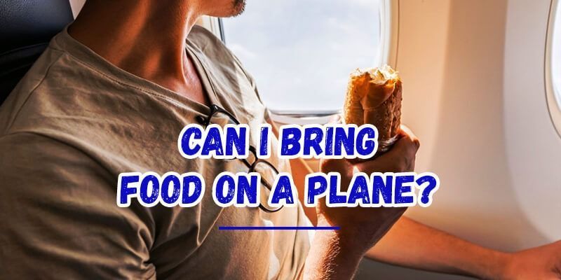 can-i-bring-food-on-a-plane-big-0