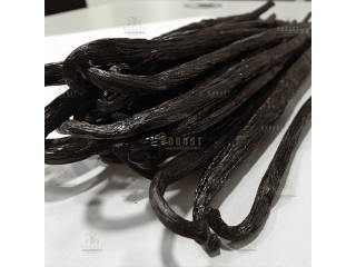 premium-bourbon-vanilla-supplier-quality-you-can-trust-small-0