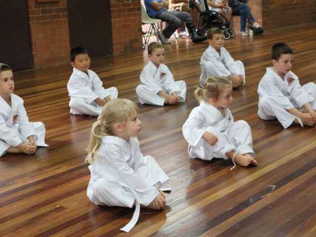 join-professional-taekwondo-lessons-near-me-today