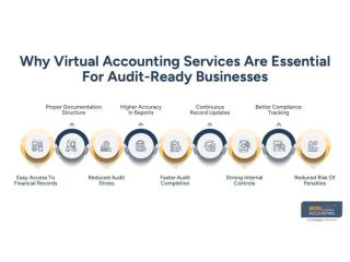 virtual-accountant-a-complete-guide-small-0