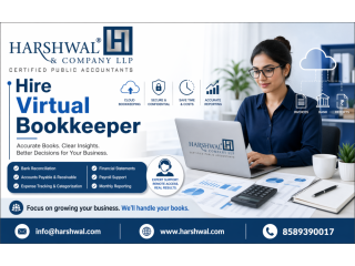 hire-virtual-bookkeeper-from-a-trusted-accounting-firm-small-0