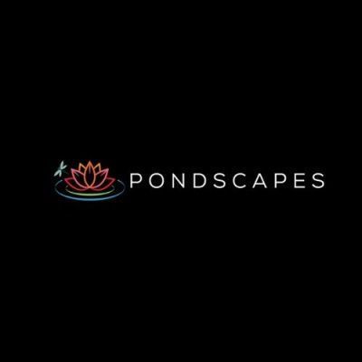 pond-builder-phoenix-big-0