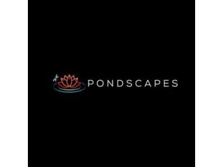 pond-builder-phoenix-small-0