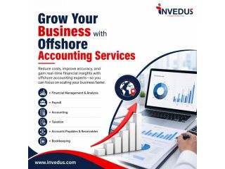 grow-your-business-with-offshore-accounting-experts-small-0