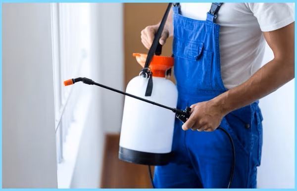 pest-control-services-by-timmons-exterminating-stephenville-tx-big-0