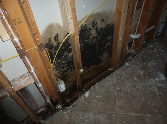 pro-master-cleaning-restoration-big-1