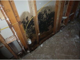 pro-master-cleaning-restoration-small-1