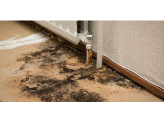pro-master-cleaning-restoration-small-0