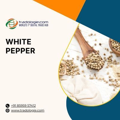 find-verified-global-buyers-for-your-white-pepper-big-0